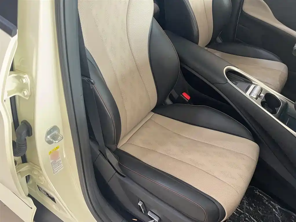 BYD Dolphin 2025 420km Fashion Edition фото 10