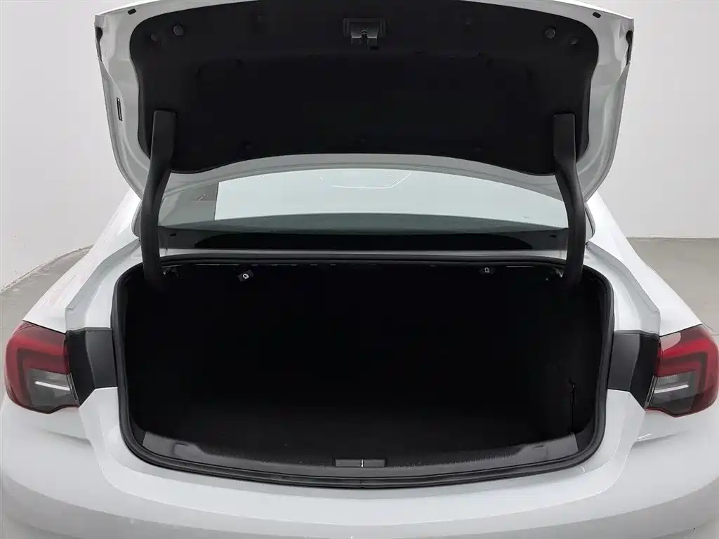 Buick Regal 2017 20T Elite Type фото 16