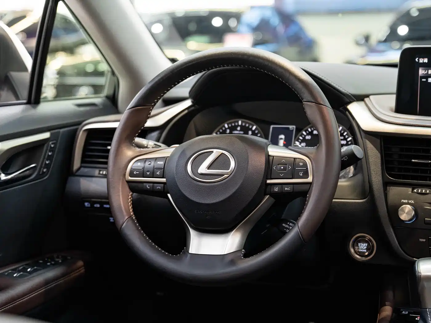 Lexus RX 2021 300 AWD Special Edition фото 14