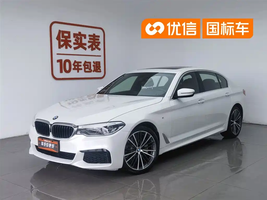 BMW 5 Series 2020 530Li Leading M Sport Package