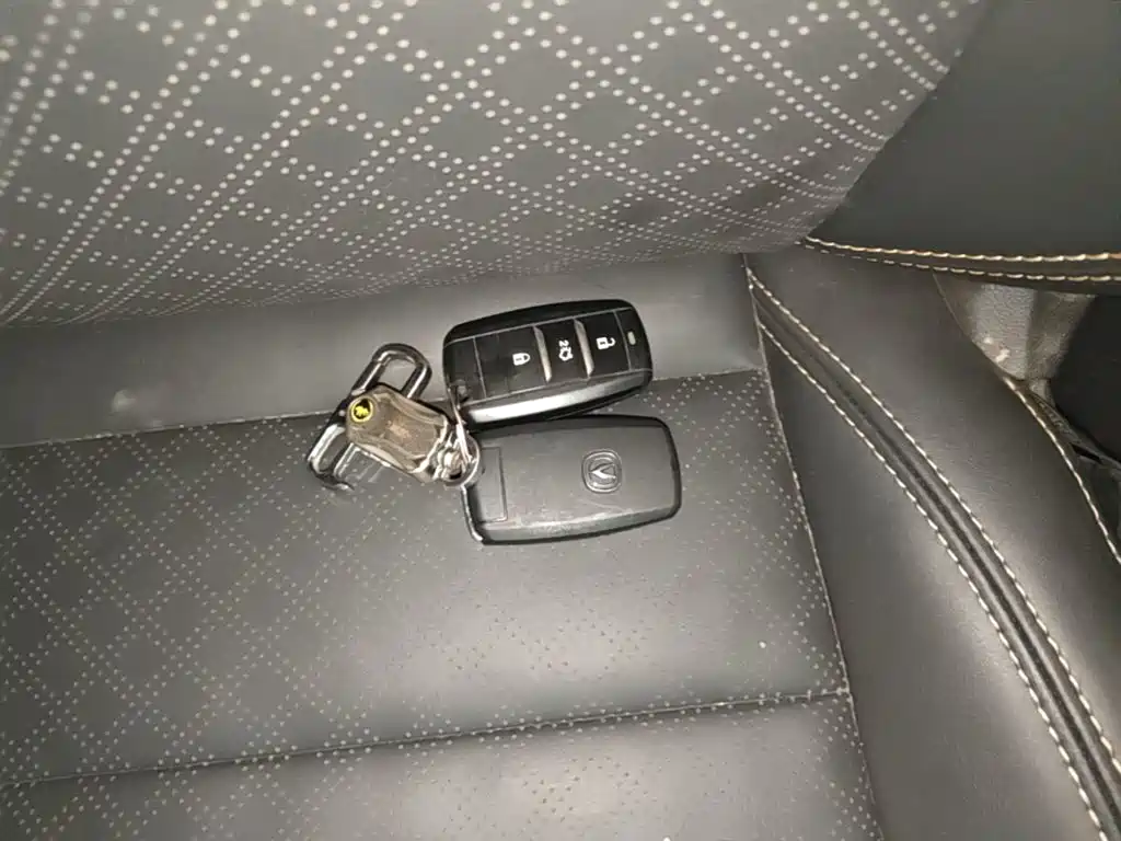 Фото 9 - Changan Eado