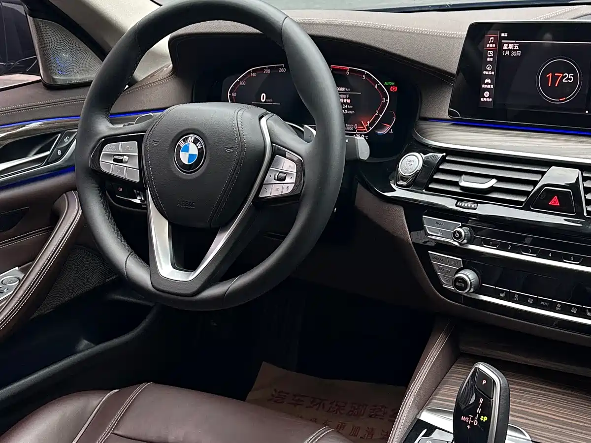 BMW 5 Series 2020 530Li Leading Luxury Package фото 14