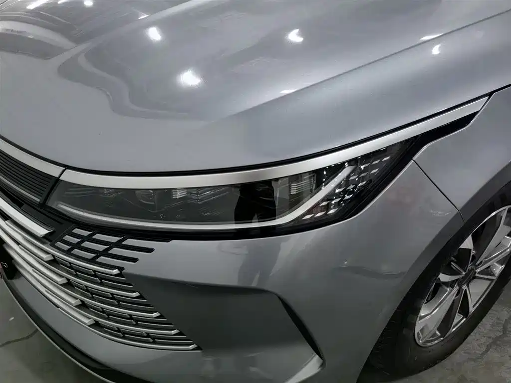 BYD Destroyer 05 2024 Glory Edition DM-i 55KM Luxury фото 7