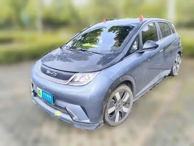BYD Dolphin 2023 401km Knight Edition — фото 1