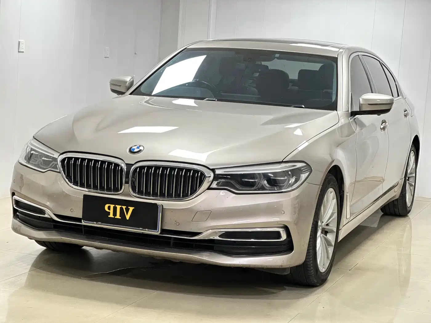 BMW 5 Series 2020 530Li Leading Luxury Package