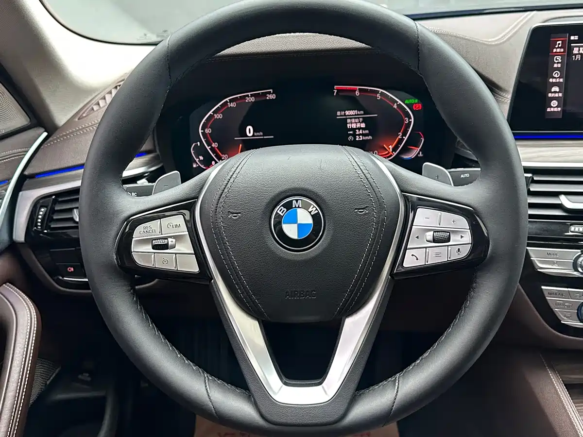 BMW 5 Series 2020 530Li Leading Luxury Package фото 11