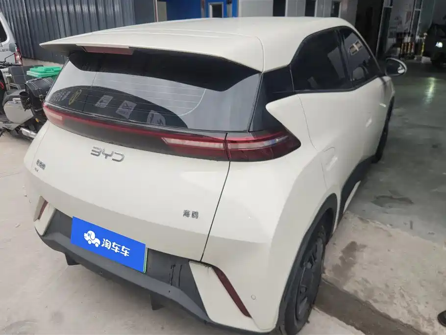 BYD Seagull 2024 Glory Edition 305km Vitality Edition фото 3