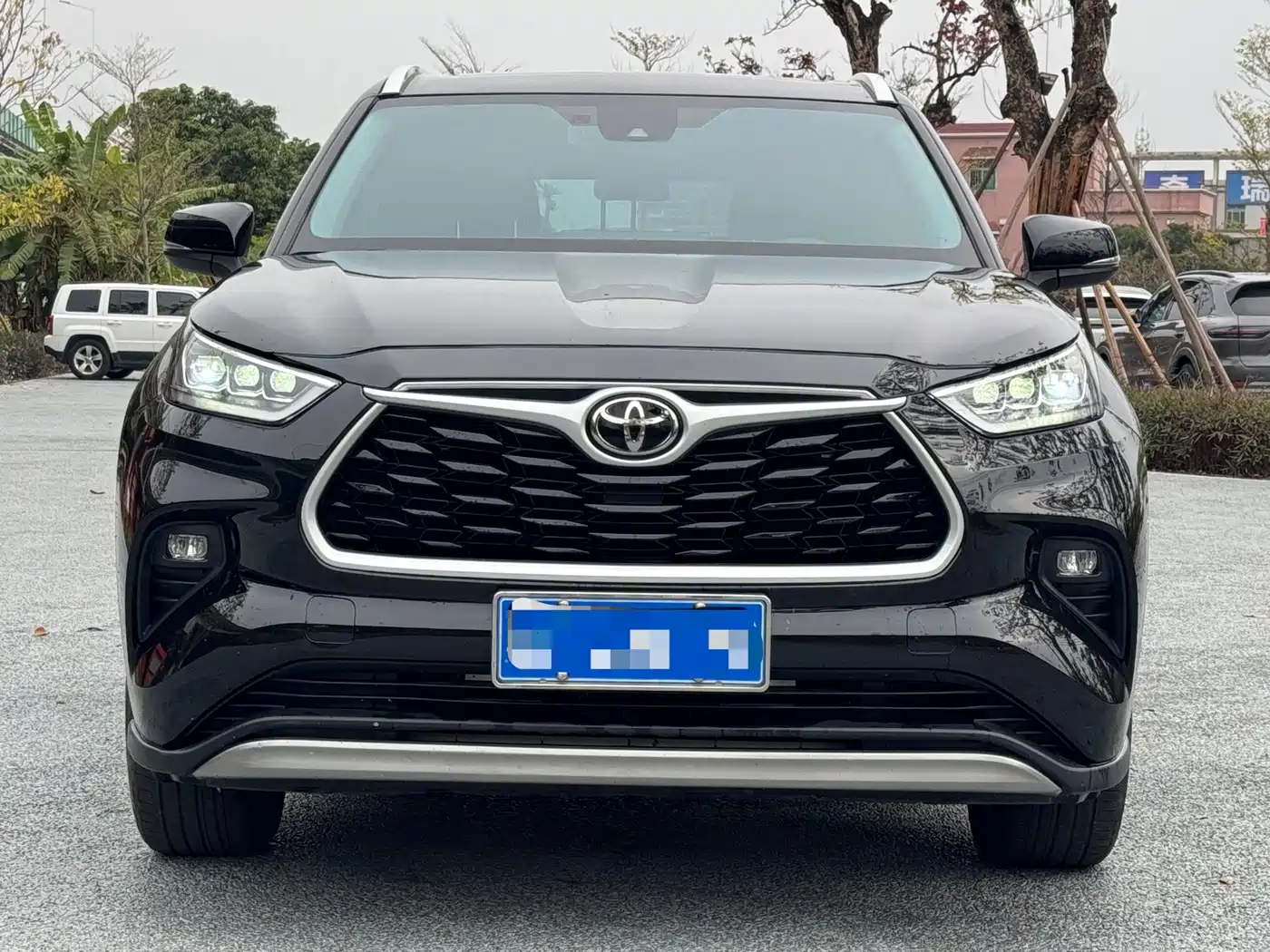 Toyota Highlander 2024 2.5L Smart Hybrid 4WD Luxury 7-seater фото 2