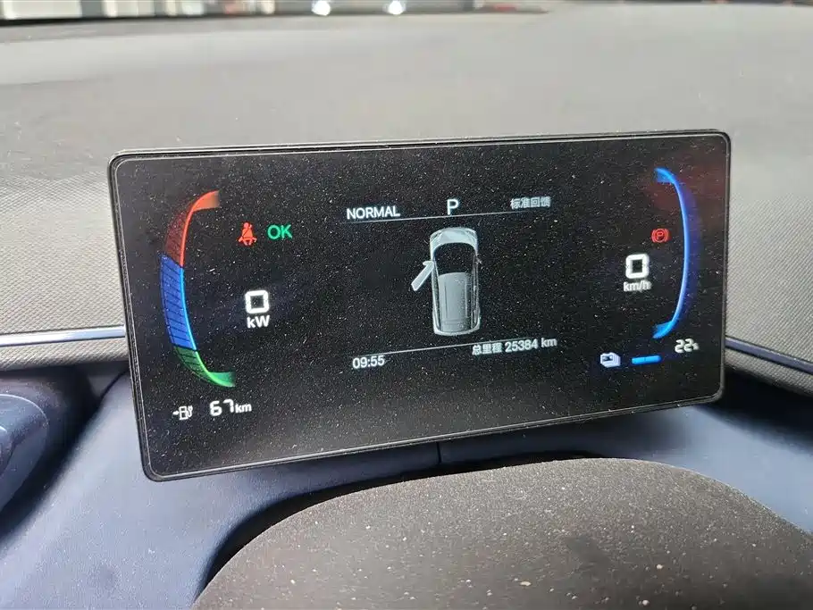 BYD Seagull 2024 Glory Edition 305km Vitality Edition фото 14