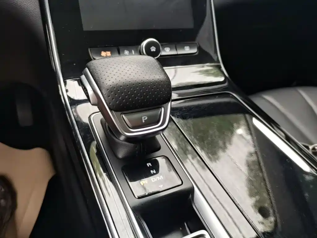 Roewe RX5 MAX 2021 2019 300TGI Auto Intelligent Driving Health Cabin Edition