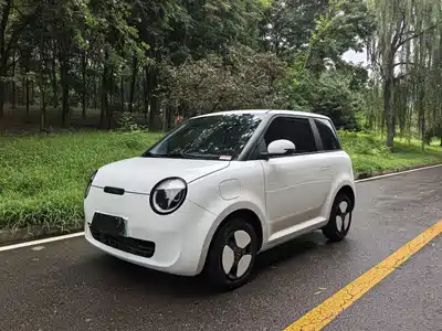 Changan Lumin