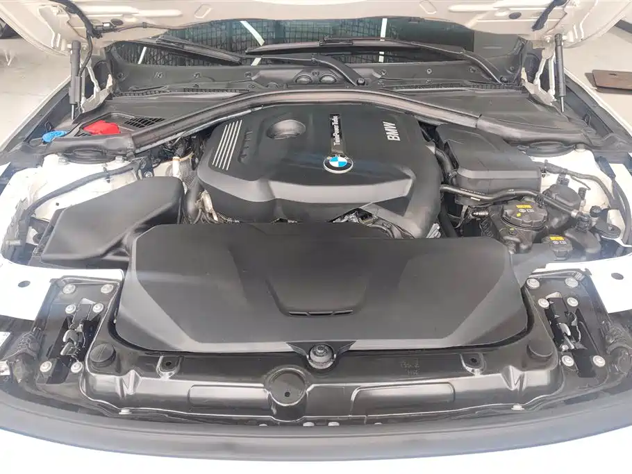 BMW 3 Series 2019 320Li M Sport Package фото 10