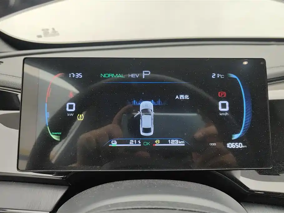 BYD Qin PLUS 2023 Champion Edition DM-i 55KM Leading фото 14