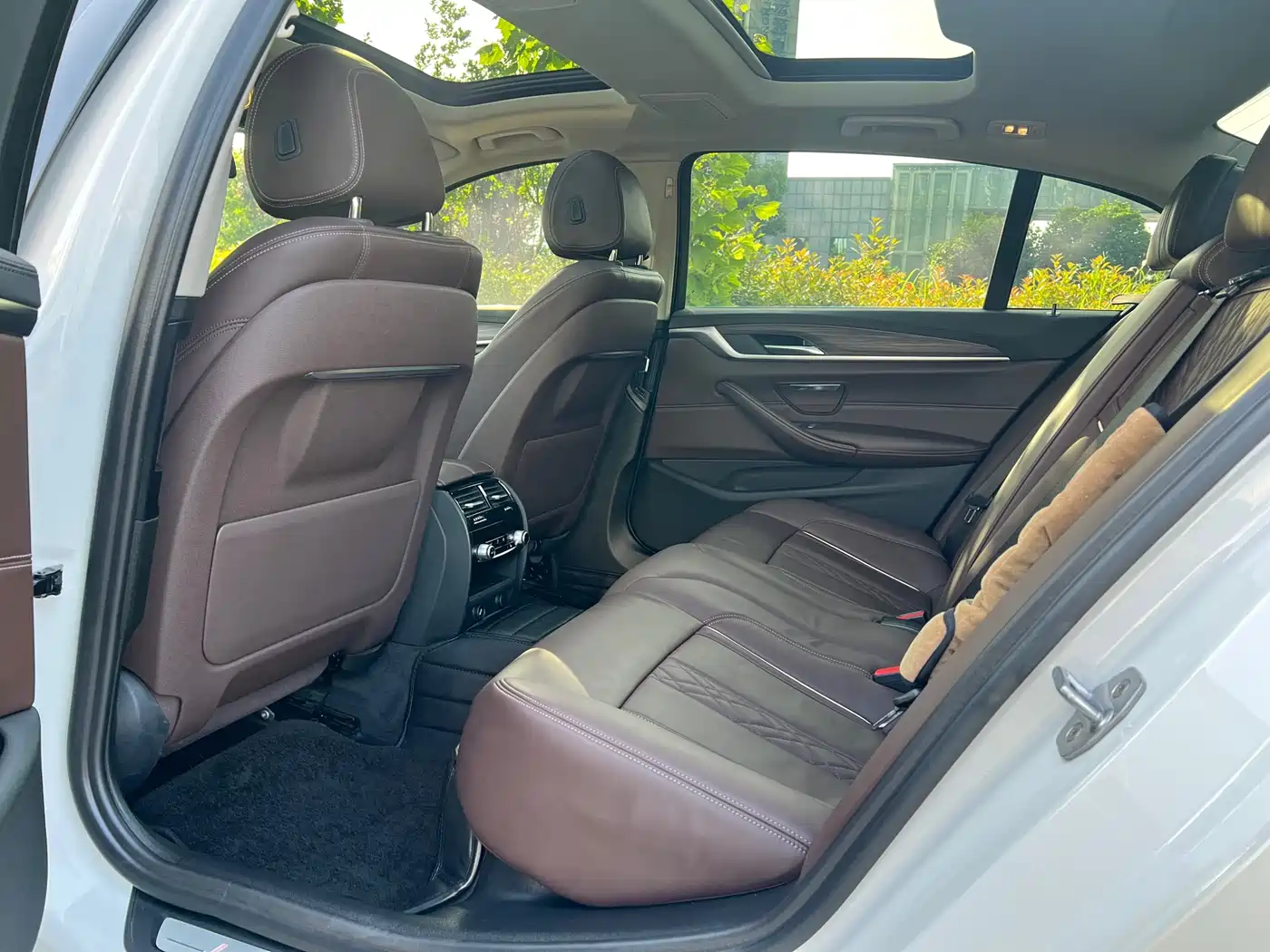 BMW 5 Series 2019 530Li Leading Luxury Package фото 7
