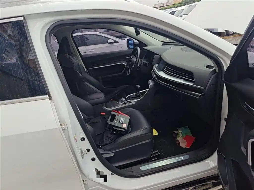 Haval H6 2018 Red Label 1.5T Automatic Luxury фото 11