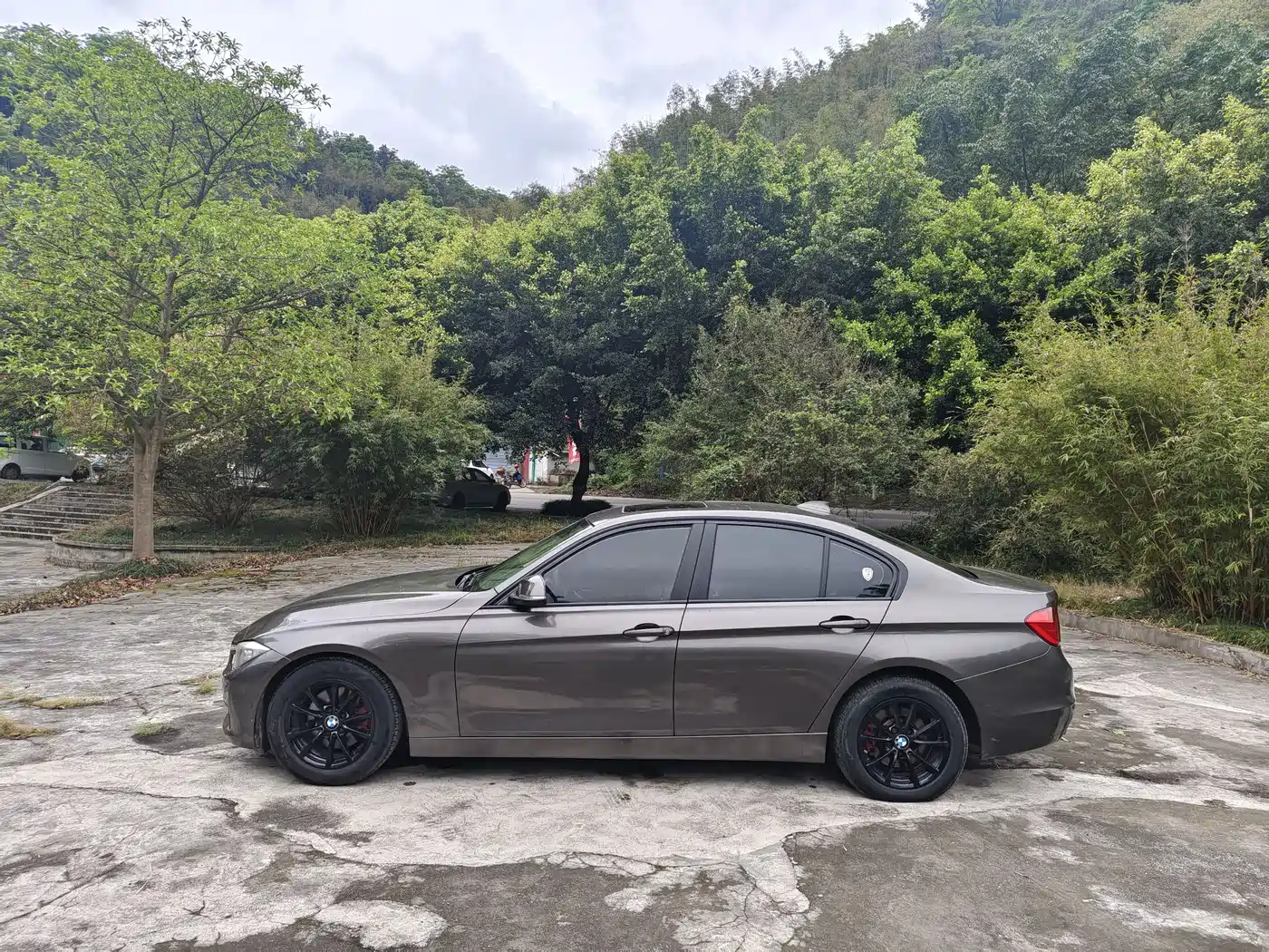 BMW 3 Series 2013 316i Progressive фото 3
