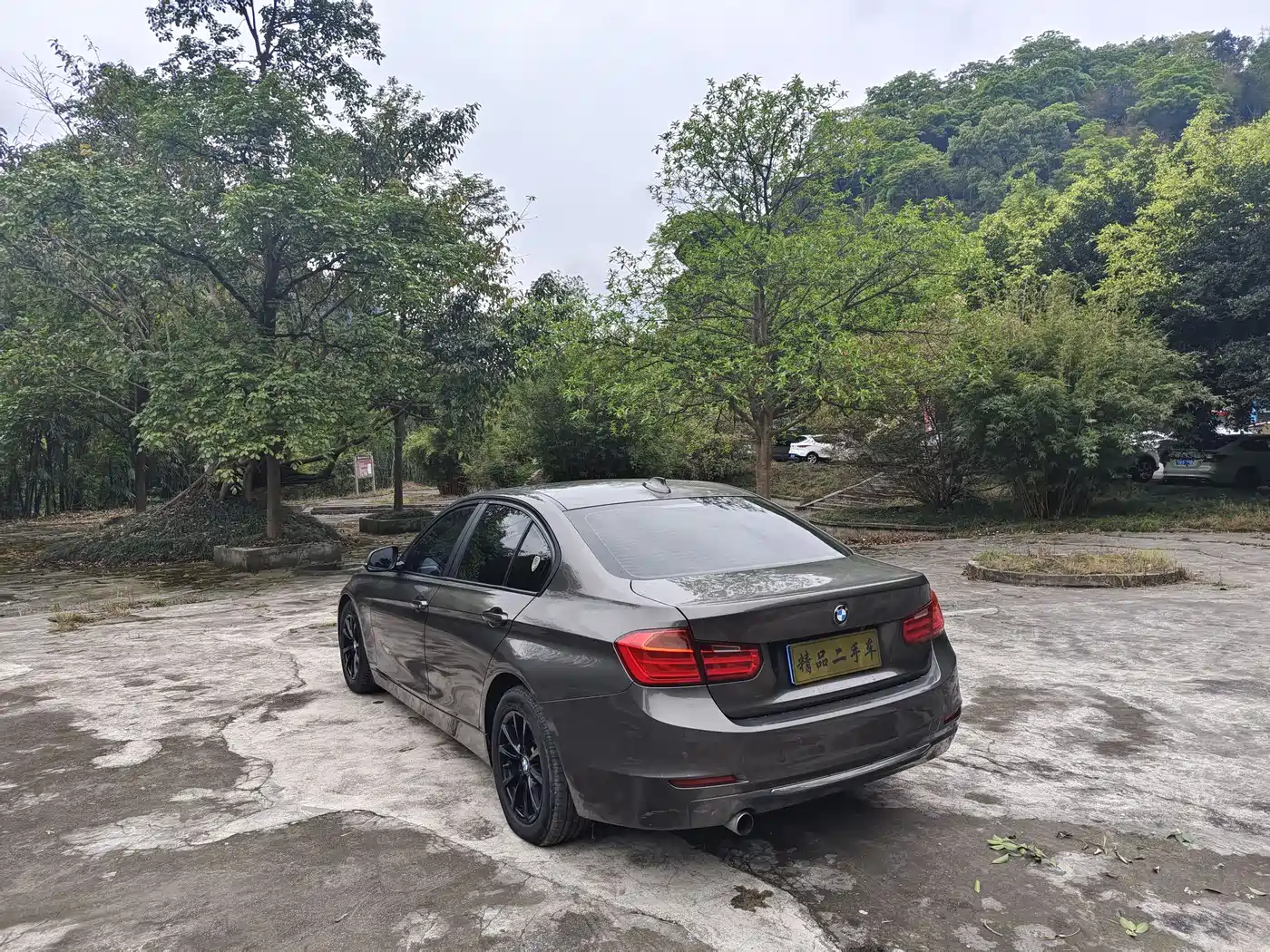 BMW 3 Series 2013 316i Progressive фото 9