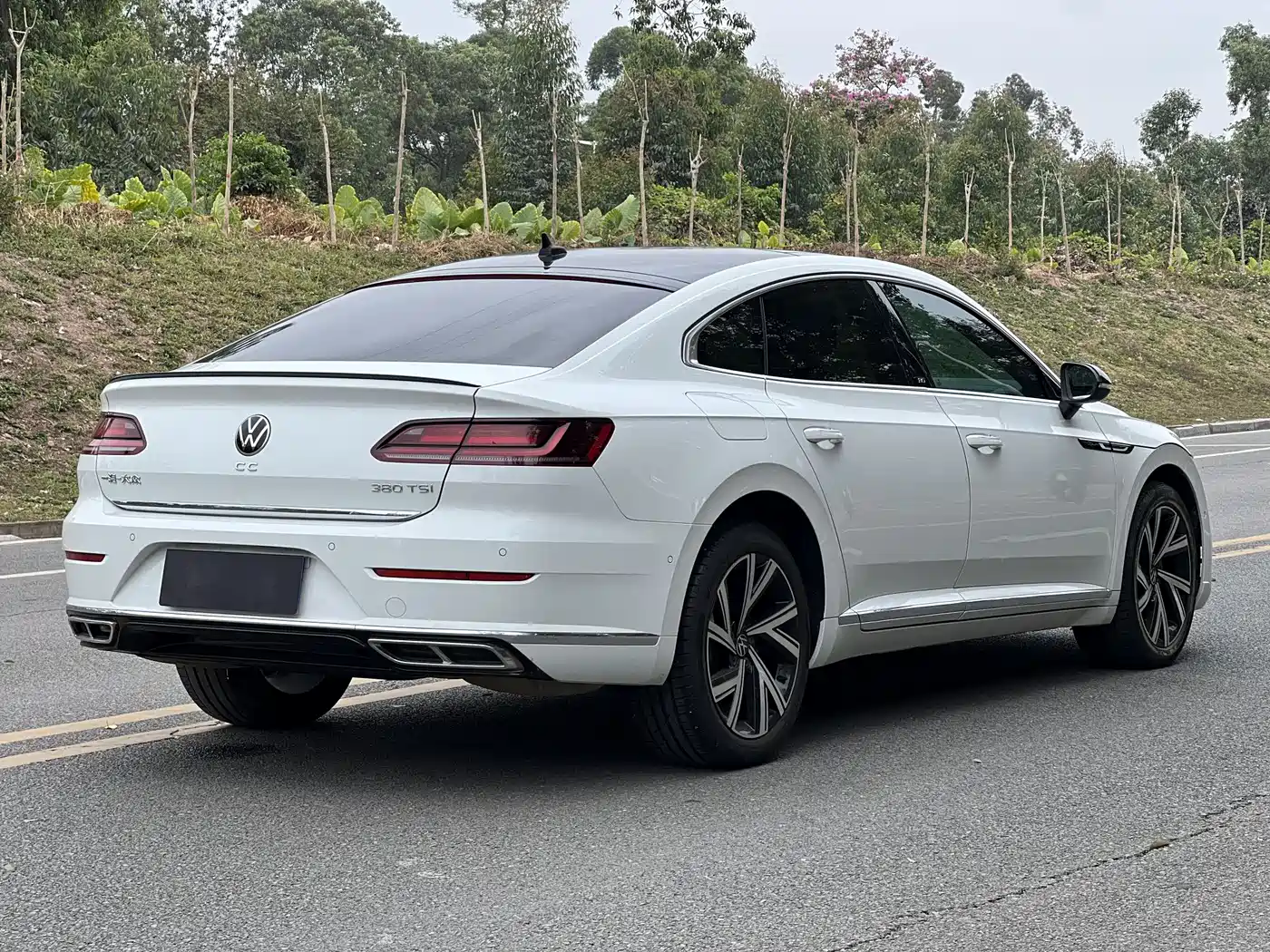 VOLKSWAGEN FAW  CC