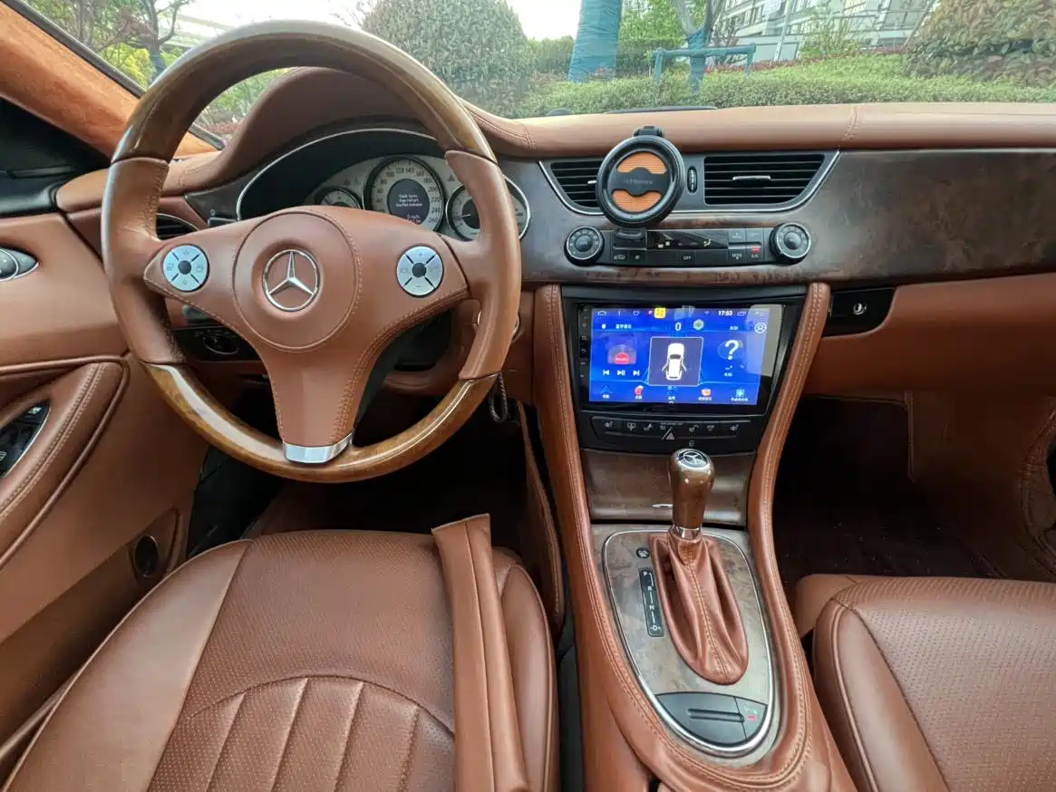 Mercedes-Benz CLS 2009 CLS 300 фото 9