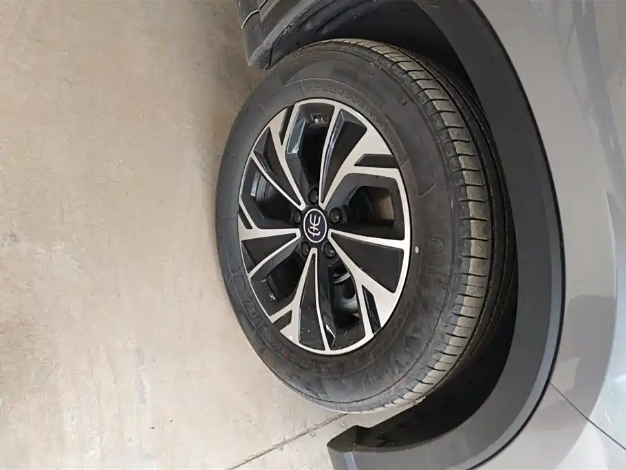 BYD Song Pro New Energy 2024 Glory Edition DM-i 110KM Surpassing фото 6