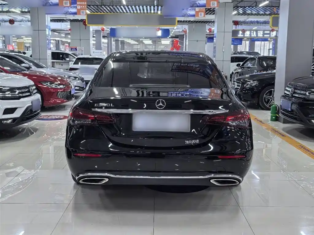 Mercedes-Benz E-Class 2023 E 300 L Luxury фото 12