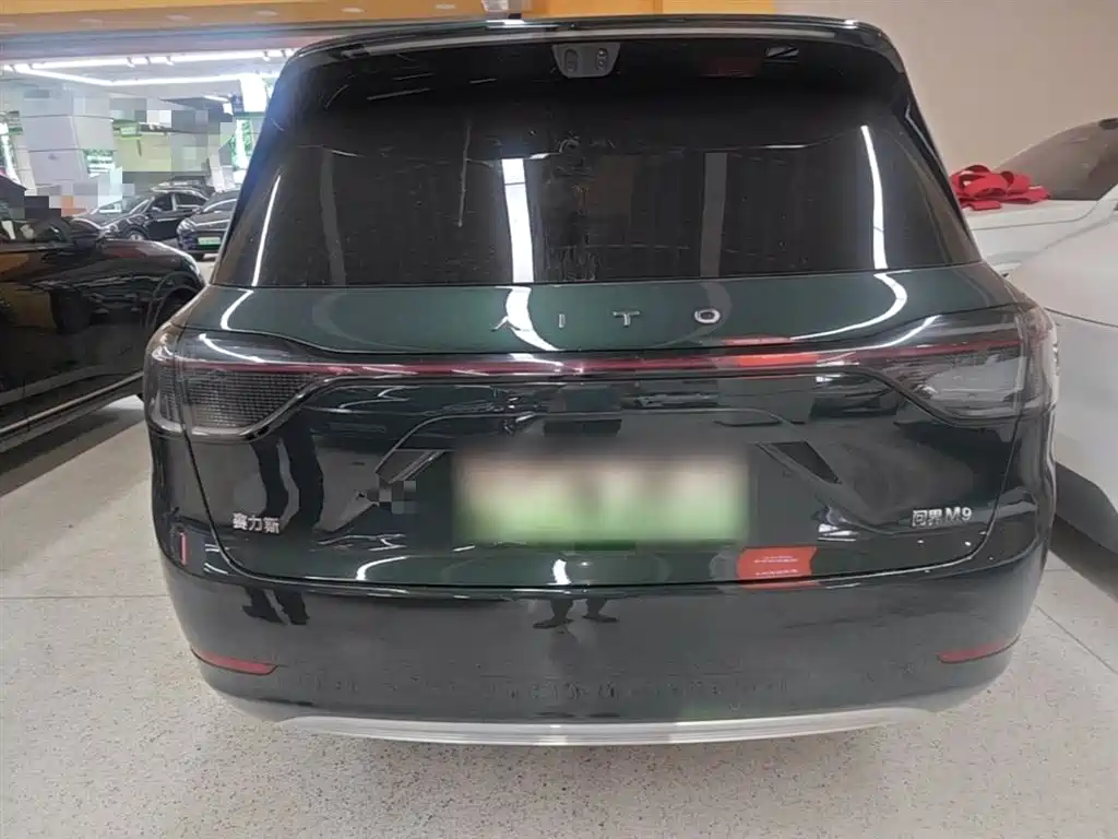 AITO Wenjie AITO M9 2025 Extended Range Max 52kWh 6-Seater фото 6