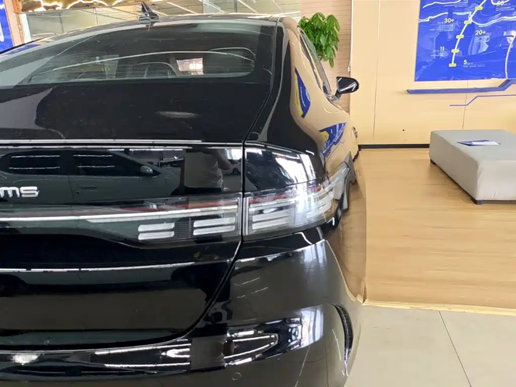 BYD Destroyer 05 2024 Glory Edition DM-i 55KM Luxury фото 8