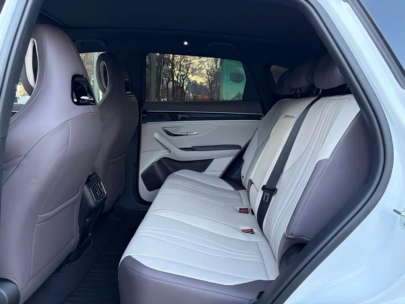 BYD SONGJIANG NEW ENERGY