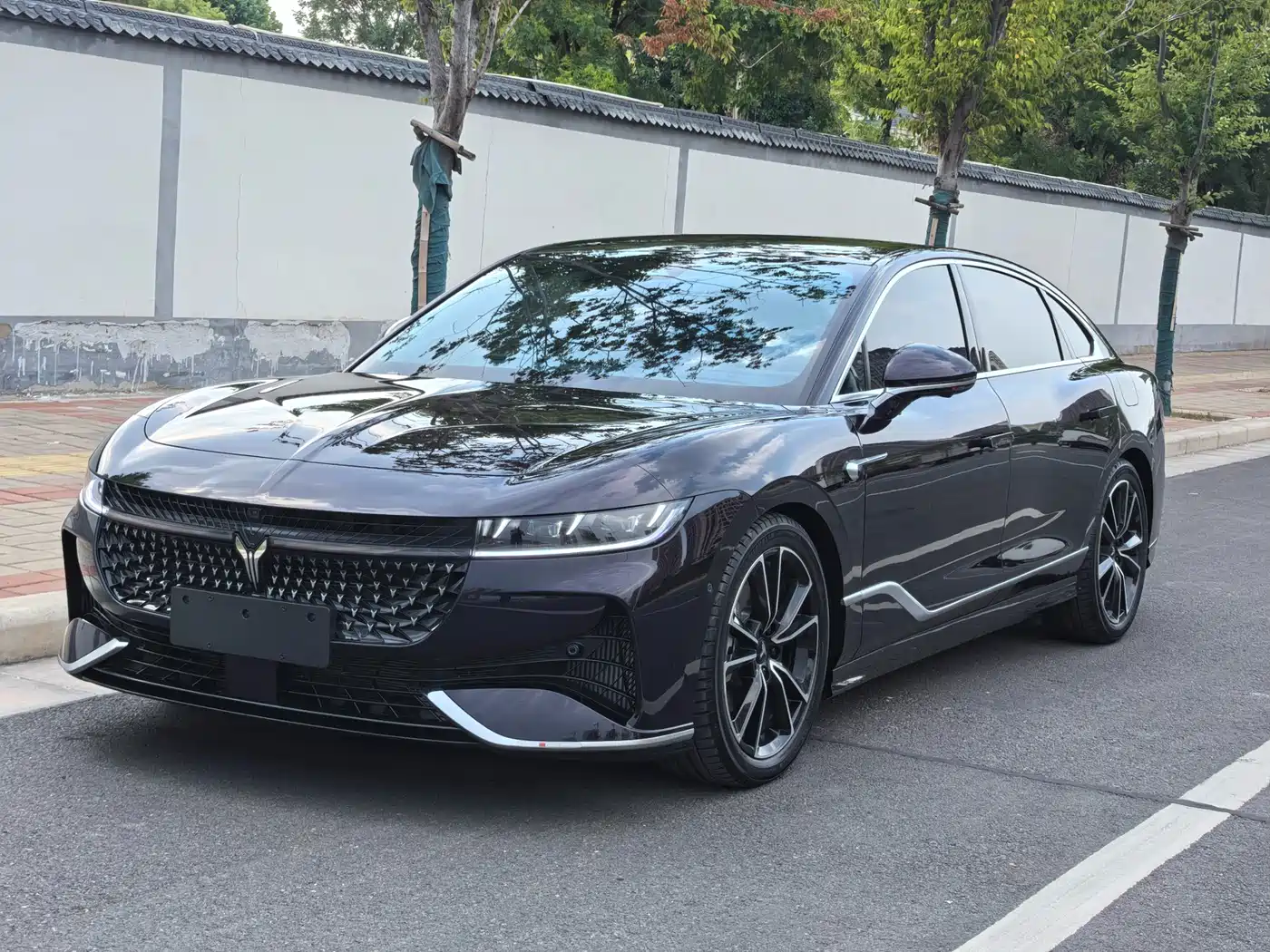Voyah Auto VOYAH Zhuiguang 2024 PHEV AWD Ultra Long Range Flagship фото 6