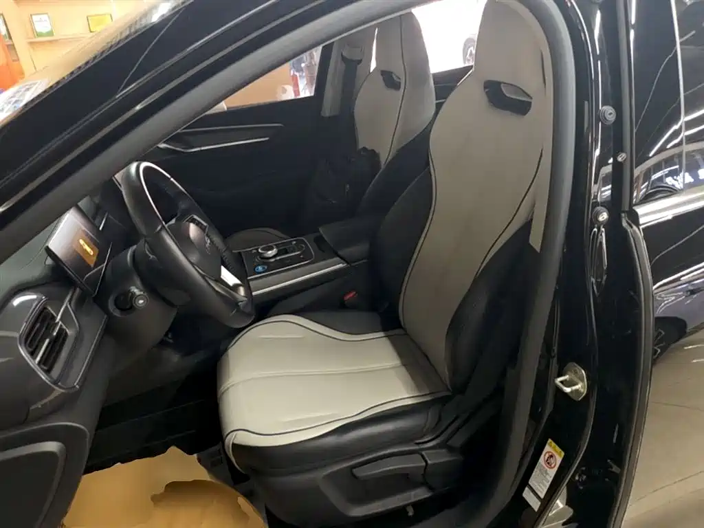 BYD Destroyer 05 2024 Glory Edition DM-i 55KM Luxury фото 15