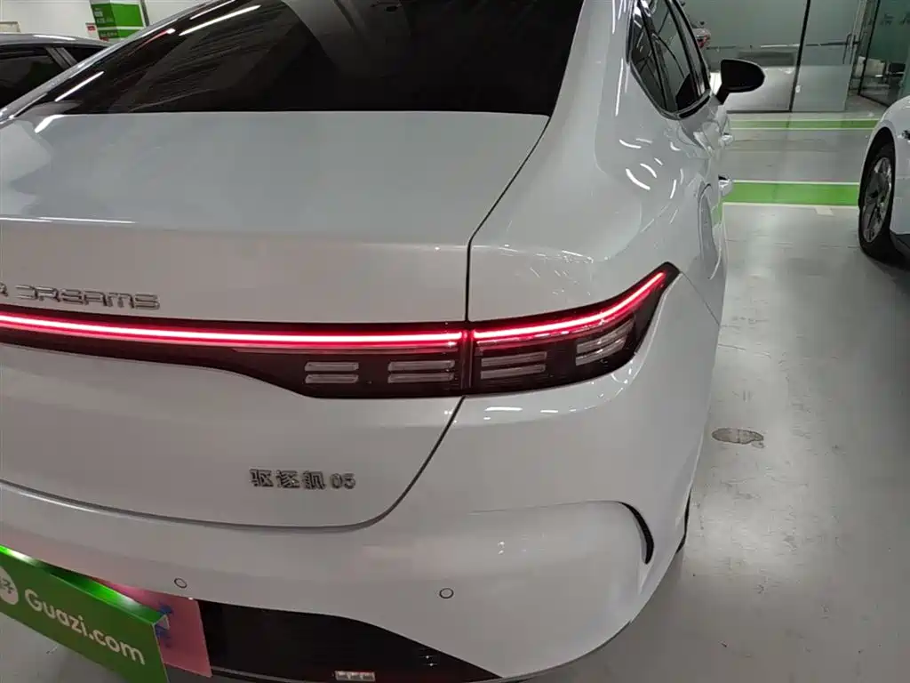BYD Destroyer 05 2024 Glory Edition DM-i 55KM Luxury фото 8