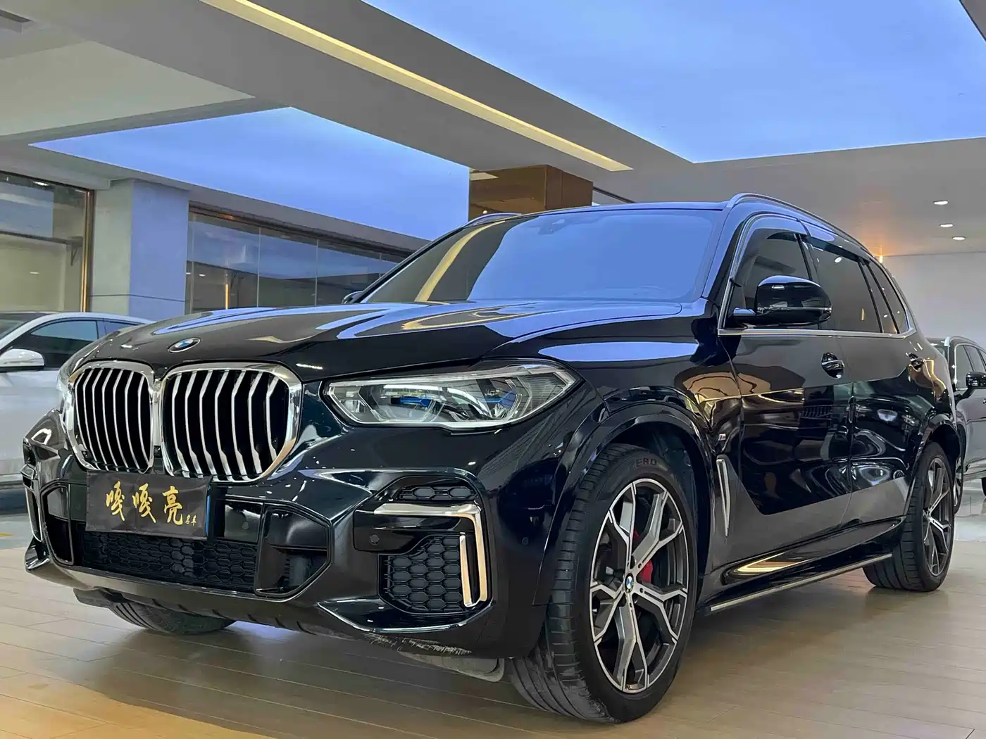 BMW X5 2023