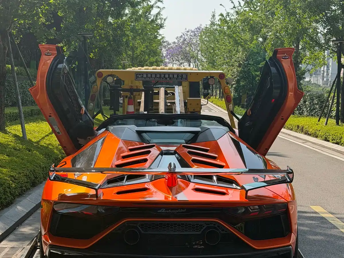 Lamborghini Aventador 2013 LP 700-4 Roadster фото 11