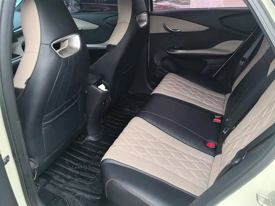 BYD Dolphin 2021 Model 405km Fashion Edition фото 11