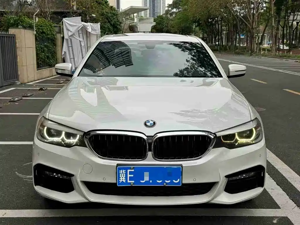 BMW 5 Series 2018 530Li Leading M Sport Package фото 3