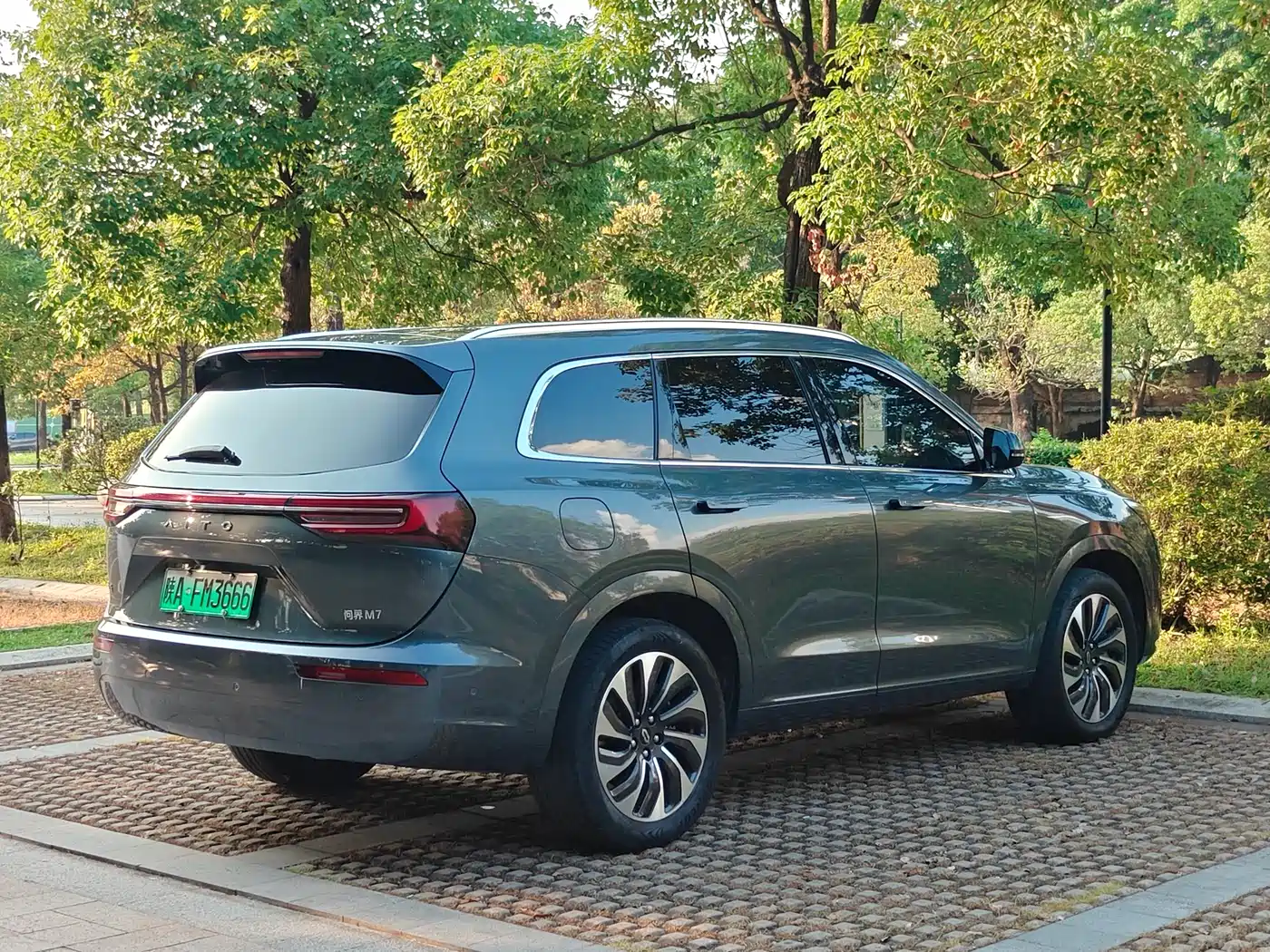 AITO Wenjie AITO M7 2022 1.5T AWD Luxury Edition фото 6