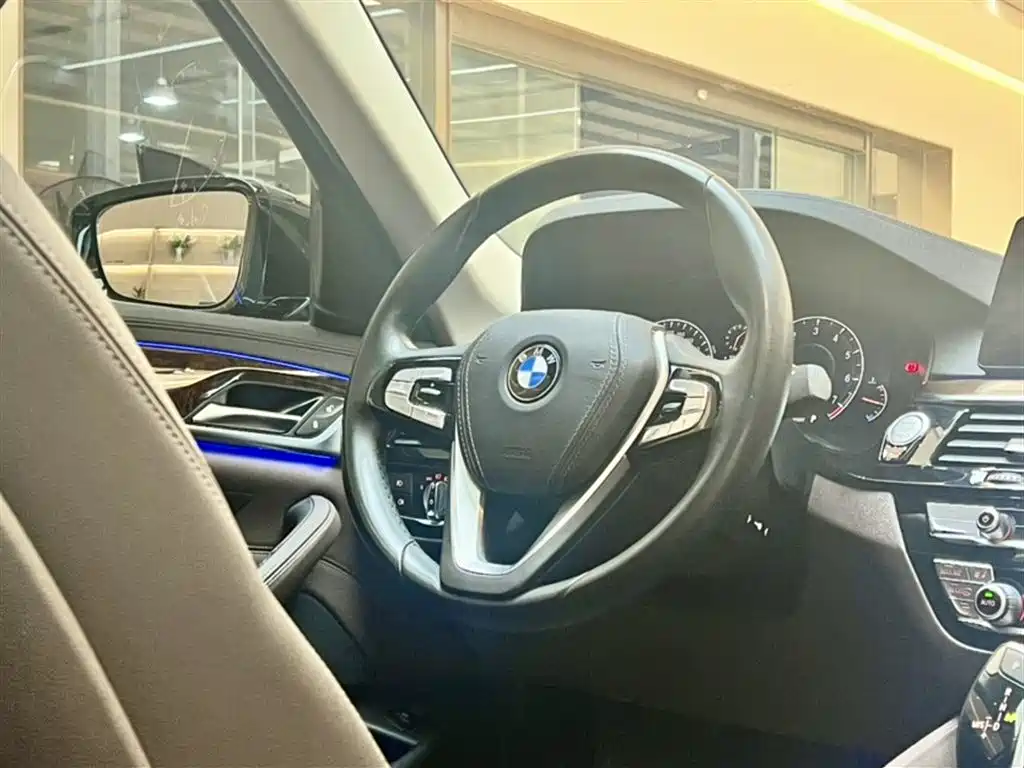 BMW 5 Series 2019 525Li Luxury Package фото 12