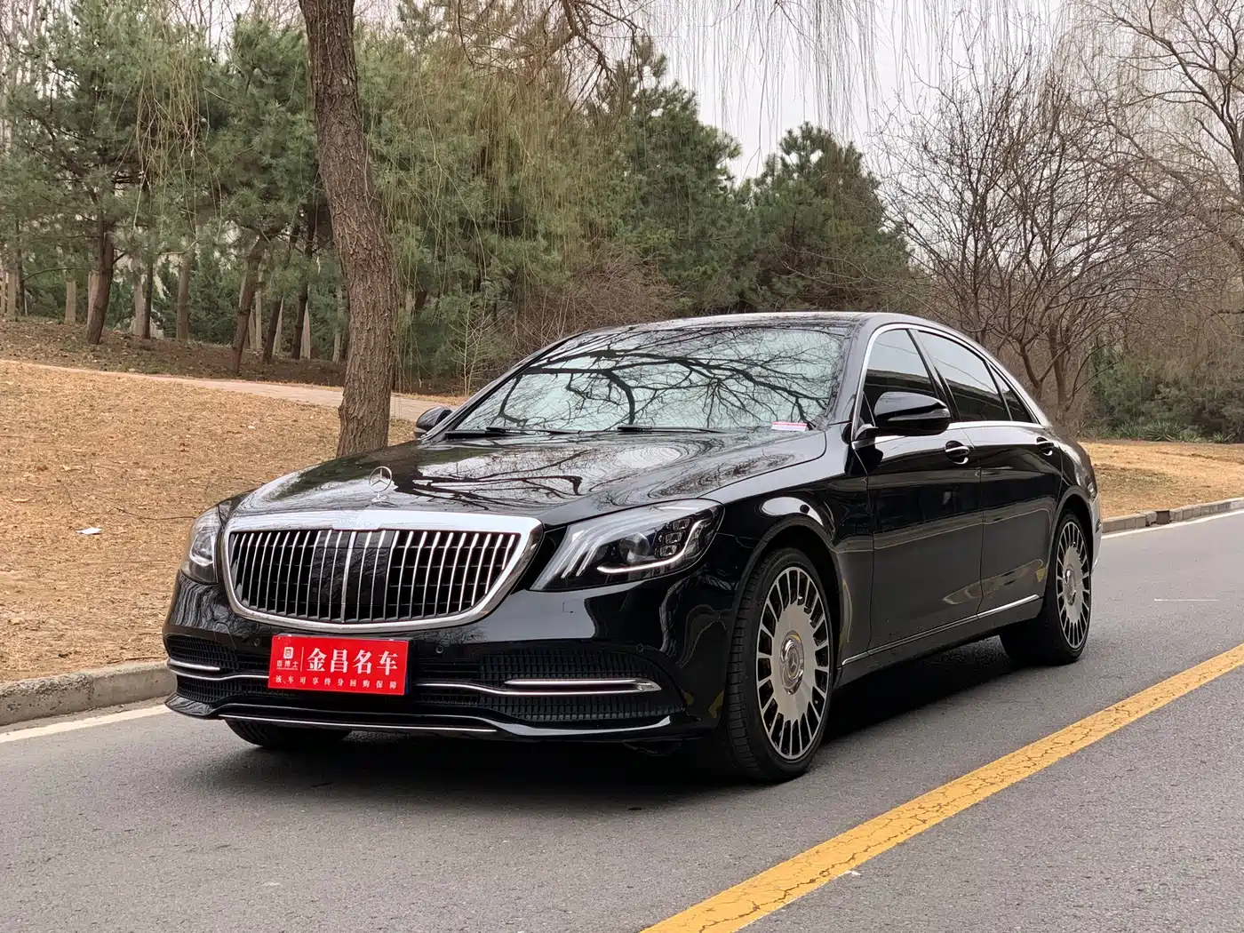 MERCEDES-BENZ S CLASS