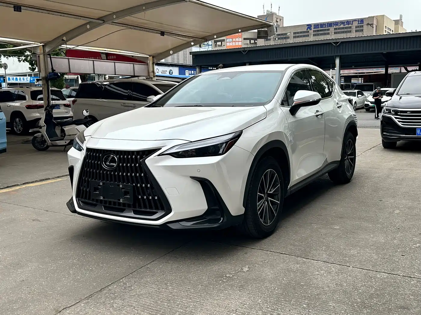 LEXUS NX