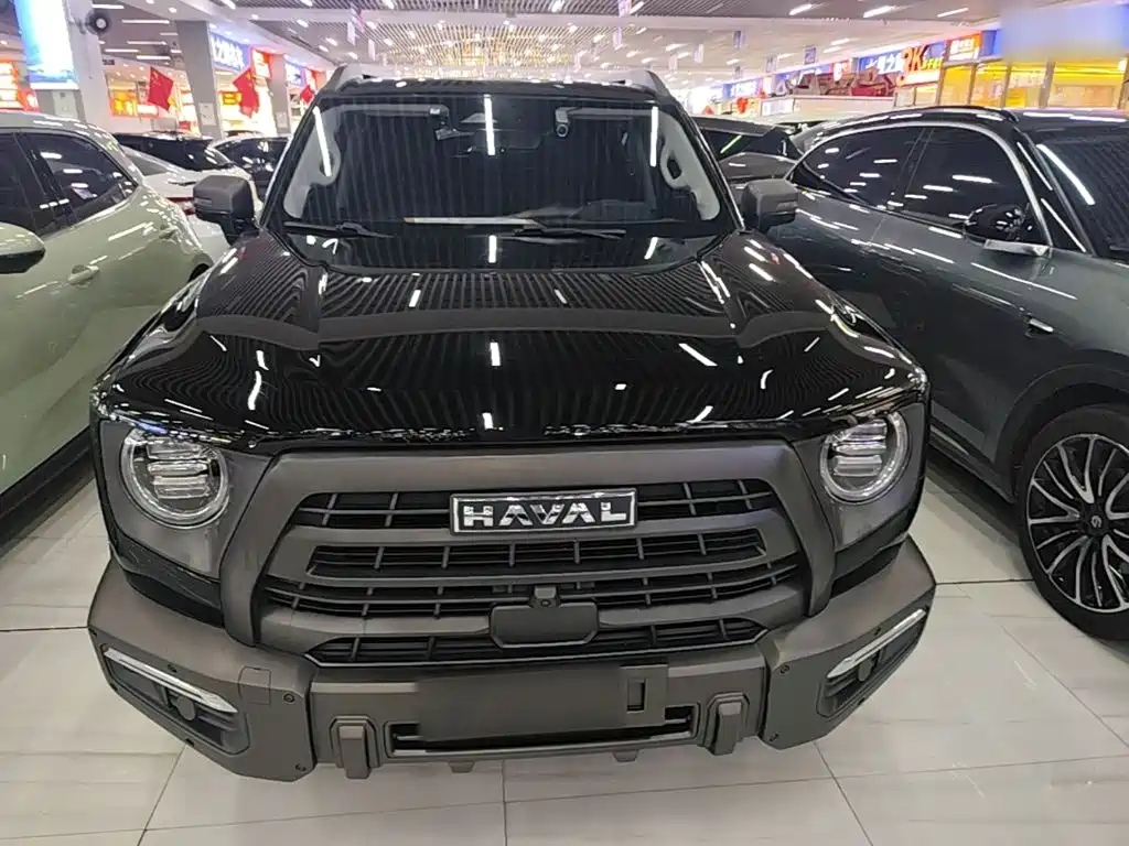 Фото 3 - Haval Dargo