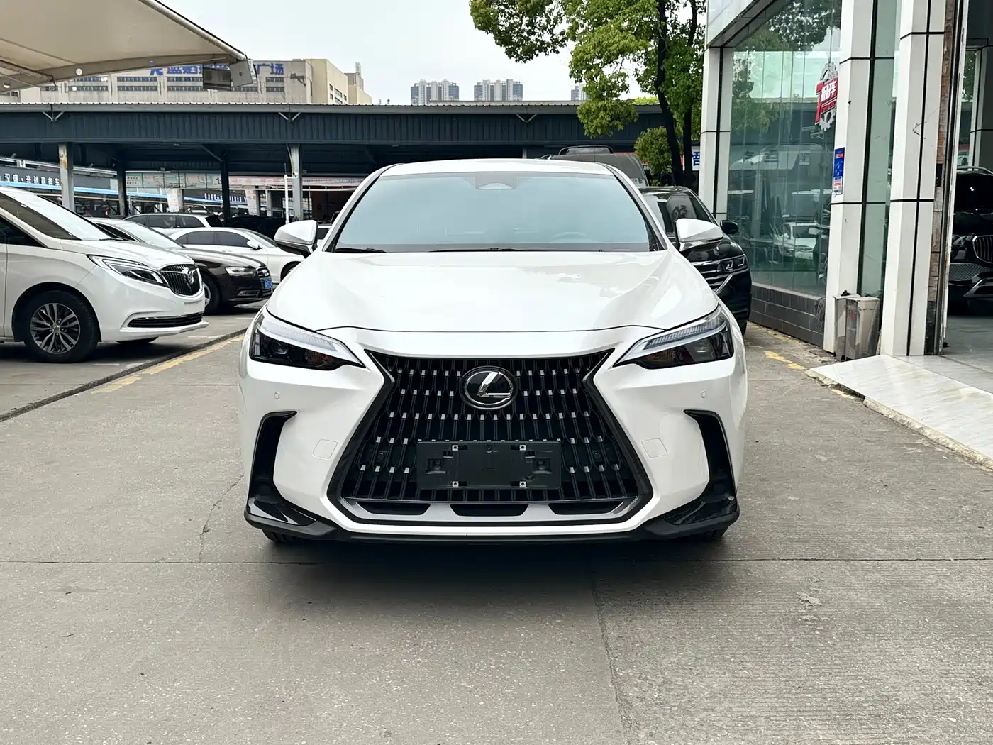 LEXUS NX