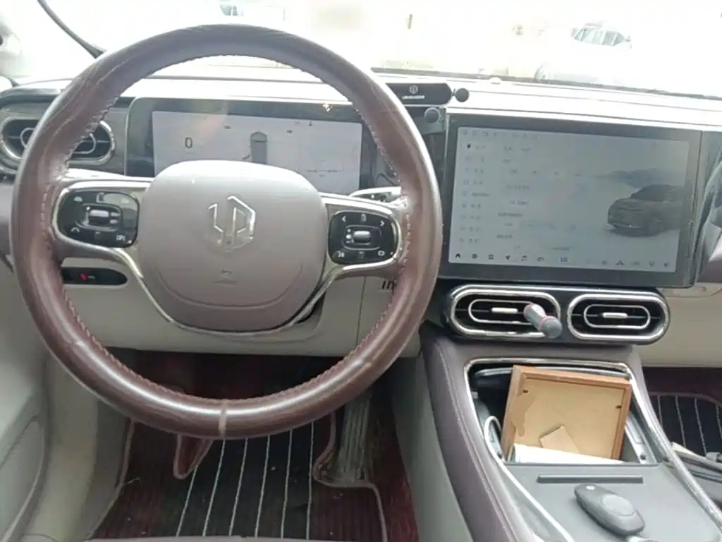 Leapmotor C11 2022 2021 Model Premium Edition