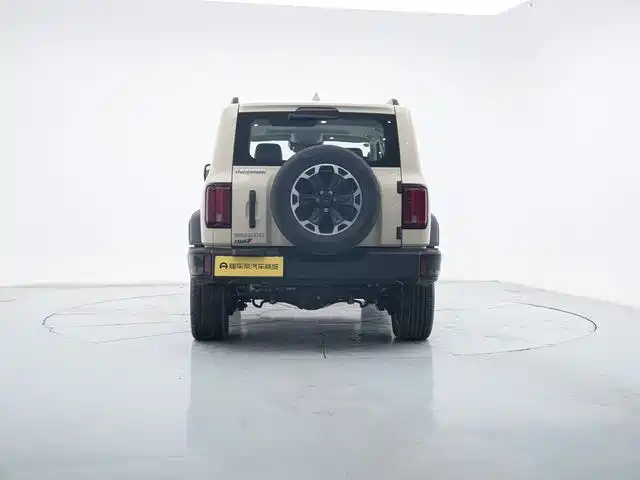 TANK TANK 300 NEW ENERGY