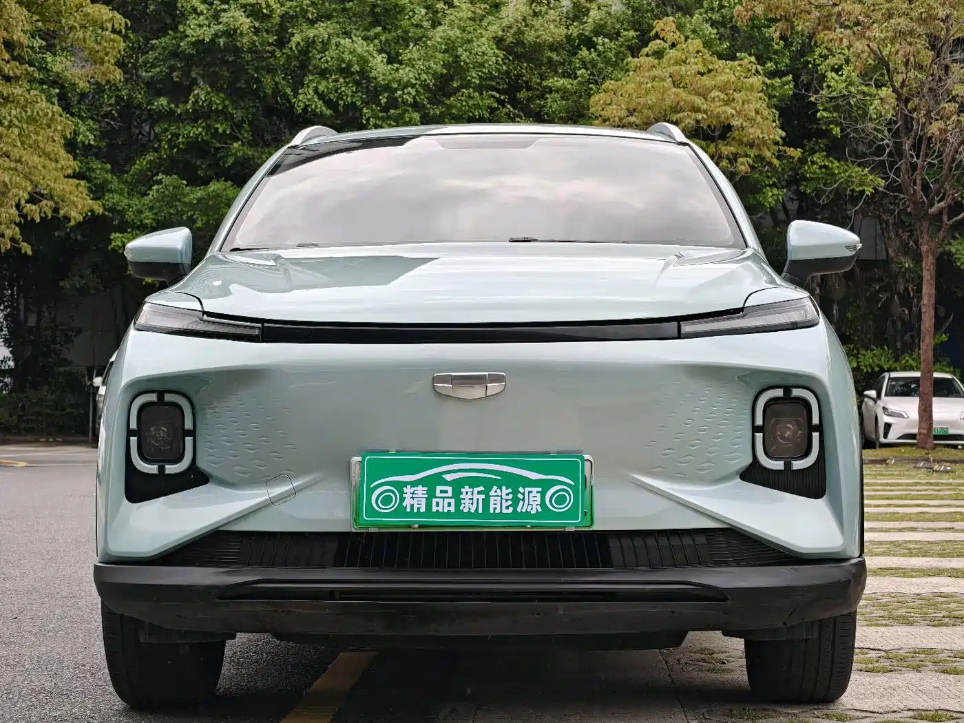 GEELY GEOMETRY E FIREFLY