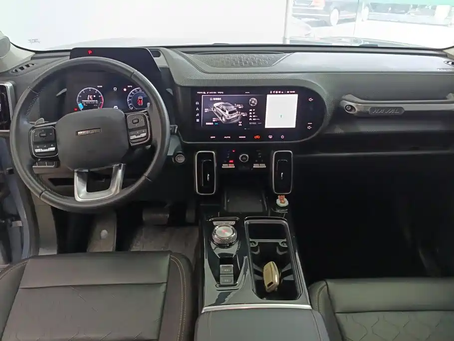 Haval Dargo 2021 2021 2.0T DCT 4WD Chinese Rural Dog Edition