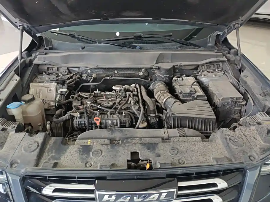 Haval Dargo 2021 2021 2.0T DCT 4WD Chinese Rural Dog Edition