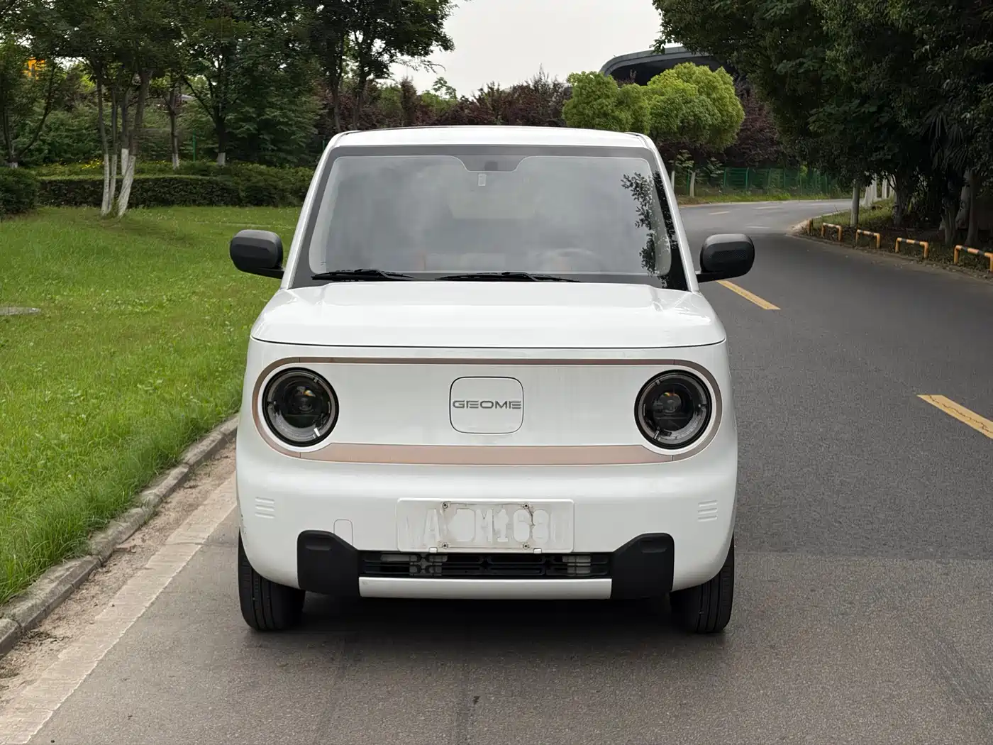 Geely Galaxy Panda 2023 Panda Mini 200km Lively Bear фото 2