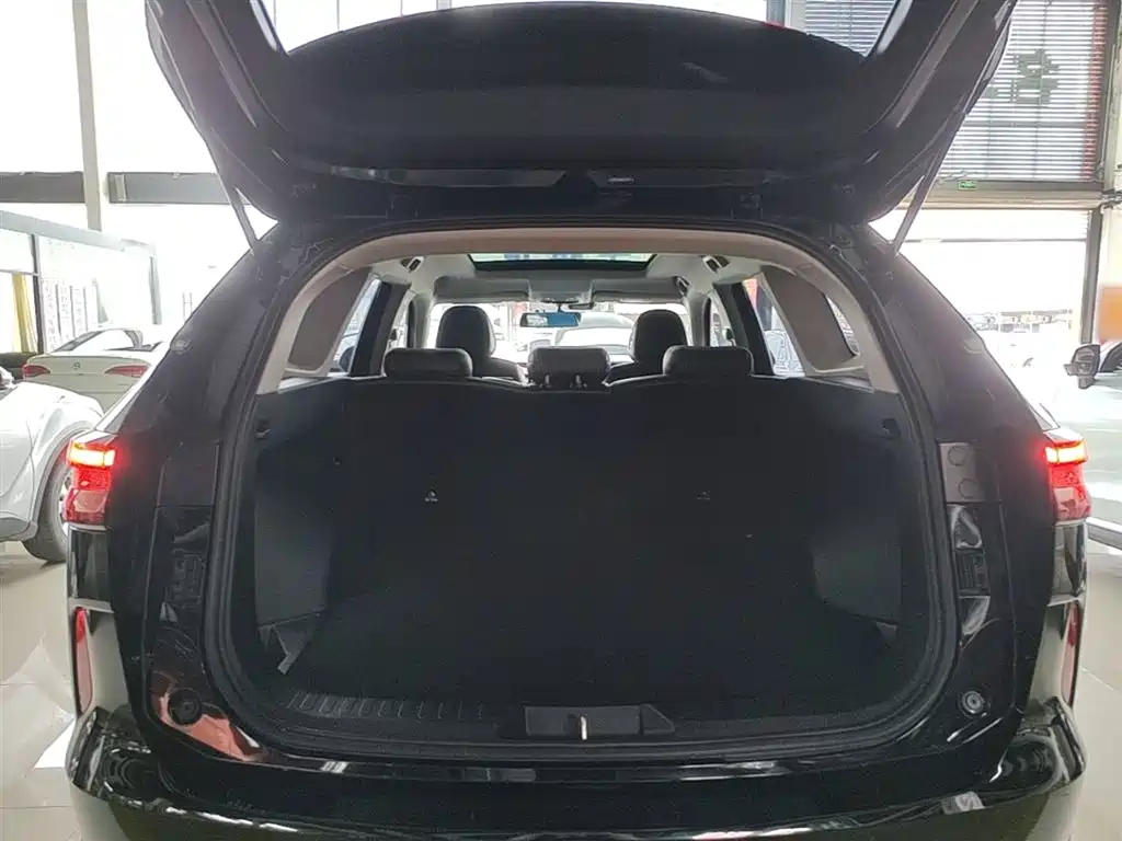 Haval H6 2021 3rd Gen 1.5T Auto 2WD Pro фото 19