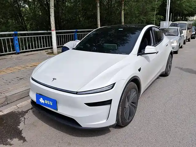 Tesla Model Y 2025 Model Rear-Wheel Drive Launch Edition