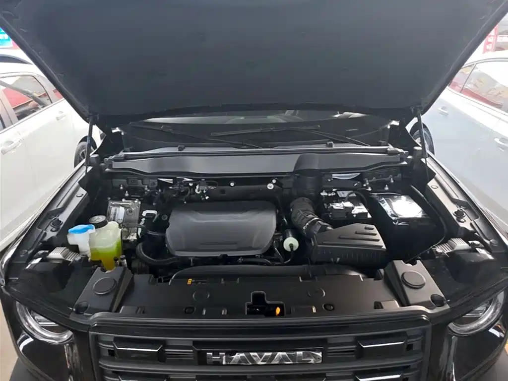 Haval Big Dog 2026 Model 1.5T High Configuration фото 20